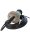SSP Safety System Products 00-00 0B 00 ZEUS Zustimm- & Bedieneinheit SP-X-85-910-00 NEU